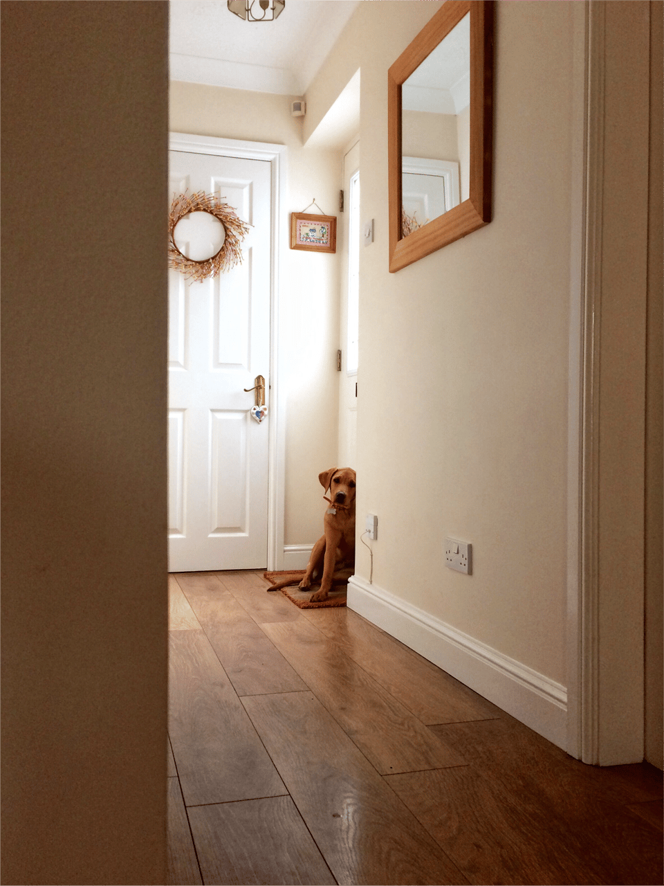 Entrance hall walls check-in photograph